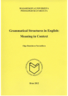 Grammatical structures in English: meaning in context
