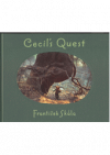 Cecil's quest