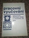 Pracovní vyučování