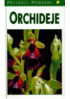 Orchideje