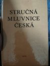 Stručná mluvnice česká