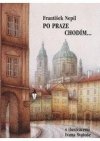 Po Praze chodím-