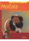 Morčata