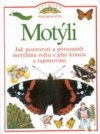 Motýli