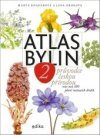 Atlas bylin 2