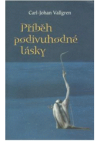 Příběh podivuhodné lásky