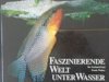 Faszinierende Welt unter Wasser