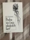 Praha za časů plujících ker