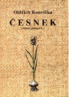 Česnek (Allium sativum L)