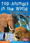 Top animas in the world =