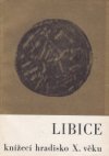 Libice - knížecí hradisko 10. věku