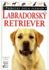 Labradorský retriever