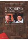 Kus dřeva ze stromu poznání