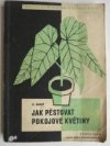 jak pěstovat pokojové rostliny 
