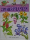 Zimmerpflanzen