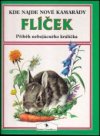 Flíček