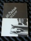 Jiří Žlebek - Sochy