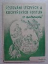 Pěstování léčivých a kuchyňských rostlin v zahradě