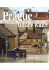 Prague under water