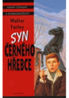 Syn černého hřebce