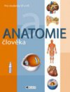 Anatomie člověka