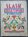 Ślask Cieszyński w obrazach