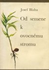 Od semene k ovocnému stromu