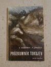 Průzkumník Tokujev