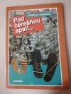 Pod čerešňou spali…