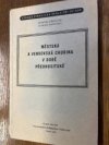 Městská a venkovská chudina v době předhusitské