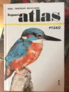 Kapesní atlas ptáků