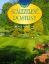 Stálezelené rostliny