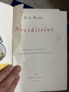 Neviditelny