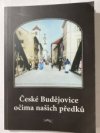 České Budějovice očima našich předků, aneb, Se starými fotografiemi kolem Bludného kamene