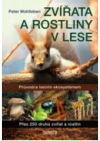 Zvířata a rostliny v lese