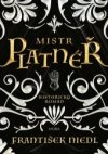 Mistr platnéř