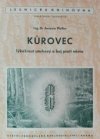 Kůrovec - lýkožrout smrkový a boj proti němu