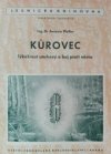 Kůrovec - lýkožrout smrkový a boj proti němu