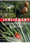 Jehličnany a stálezelené rostliny v zahradě