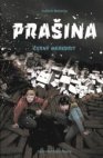 Prašina