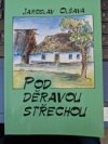 Pod děravou střechou
