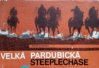 Velká pardubická steeplechase