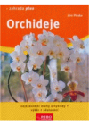 Orchideje