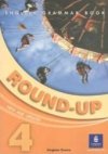 Round-Up Grammar Practice 4