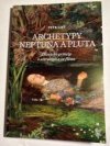 Archetypy Neptuna a Pluta