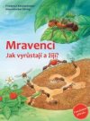 Mravenci