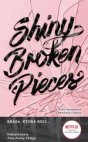 Shiny Broken Pieces