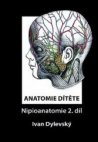 Anatomie dítěte