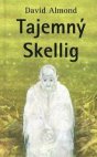 Tajemný Skellig
