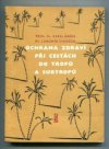 Ochrana zdraví při cestách do tropů a subtropů